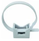 Colliers Klauke Avec Embase